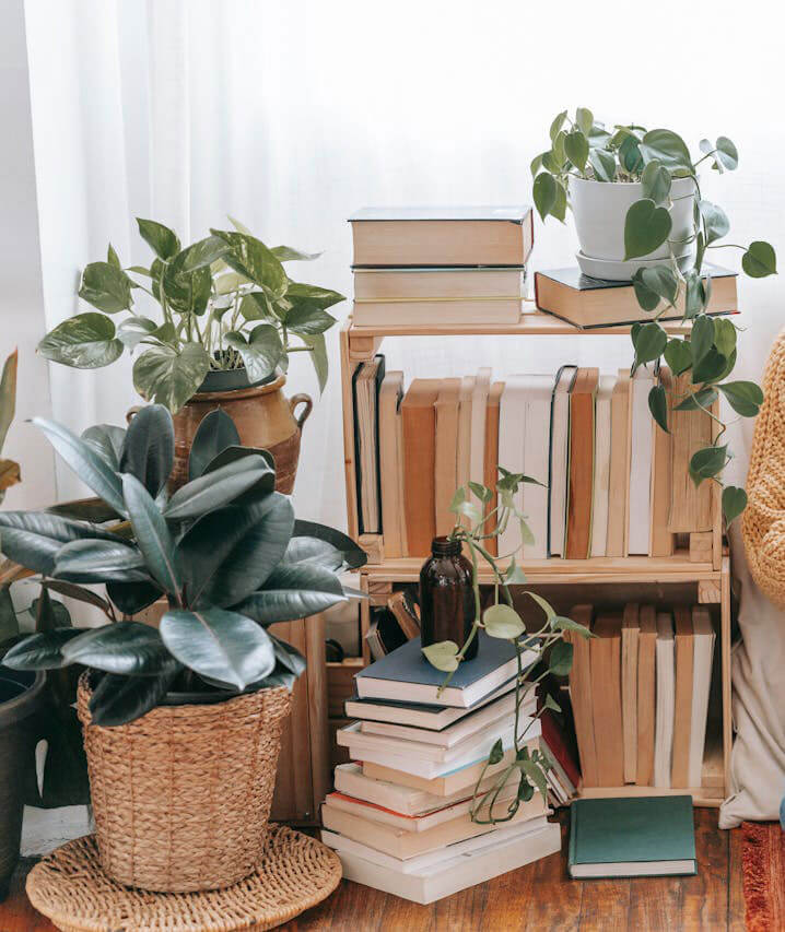 Contact je scintille, le média dédié à votre bien-être