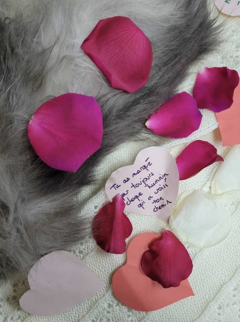 Photo d'une partie du corps d'un chat avec le mot plein de tendresse de son humain, sur lequel est écrit : "Tu as marqué pour toujours chaque humain qui a croisé ton chemin."