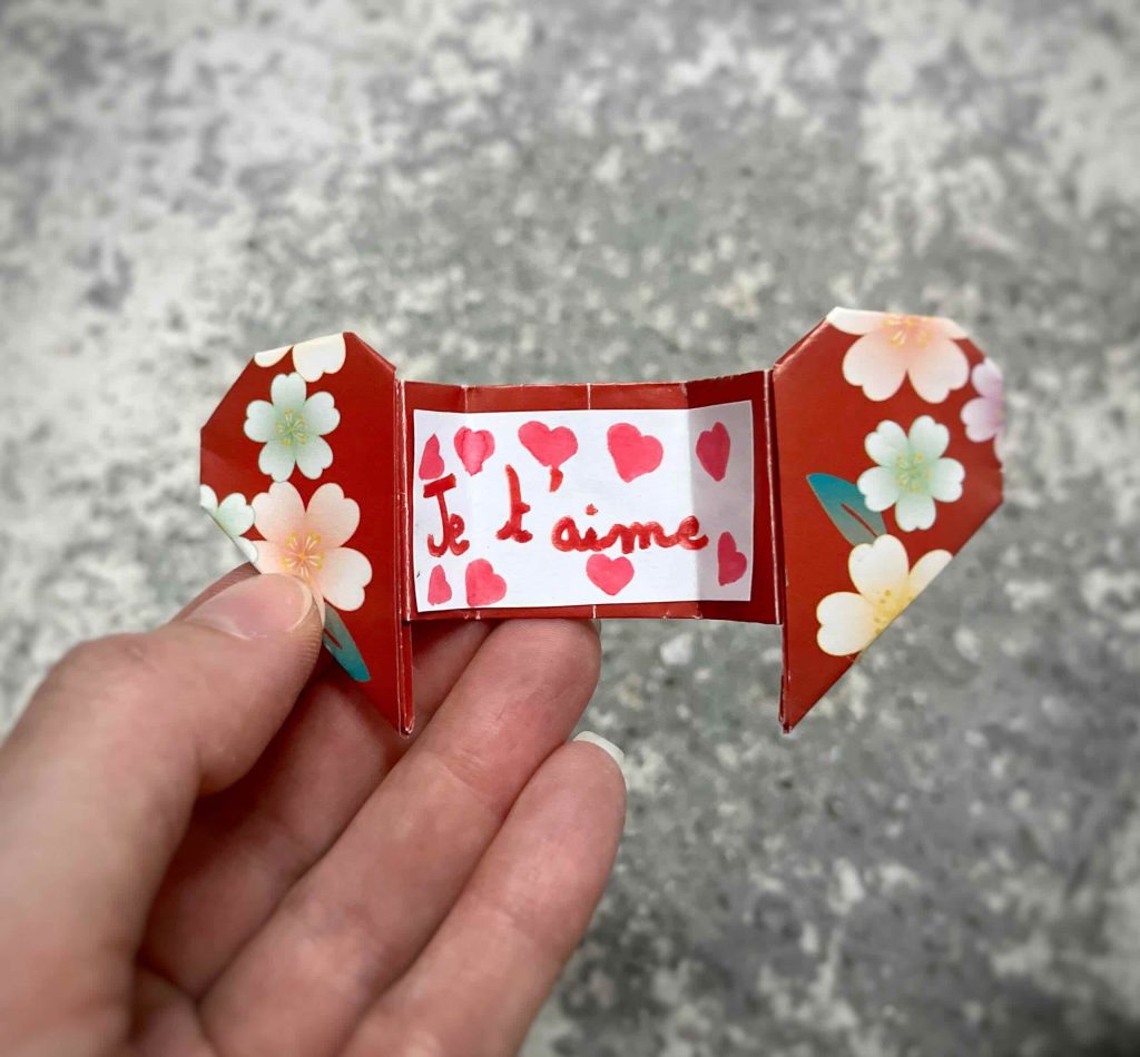 Origami créé par une enfant pour son chat, lors de l'euthanasie à domicile de l'animal par Dr Yessenia Alves Leiva.