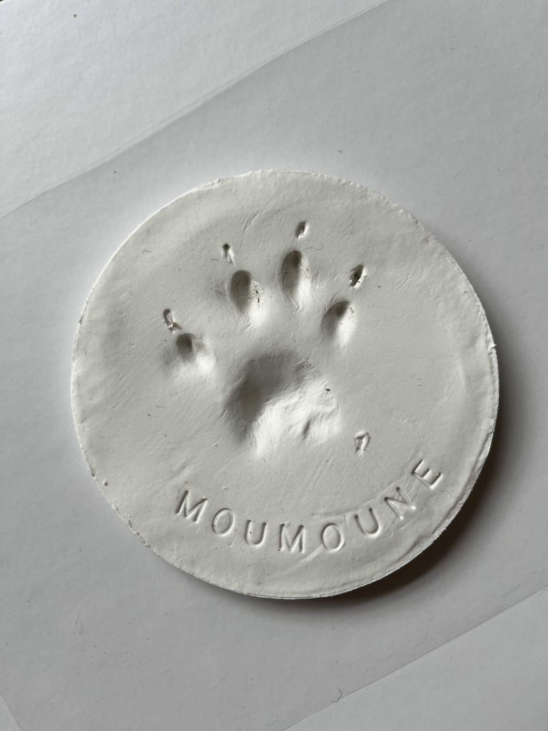 L'empreinte de patte de Moumoune, empreinte que le Dr Yessenia Alves Leiva offre aux familles.