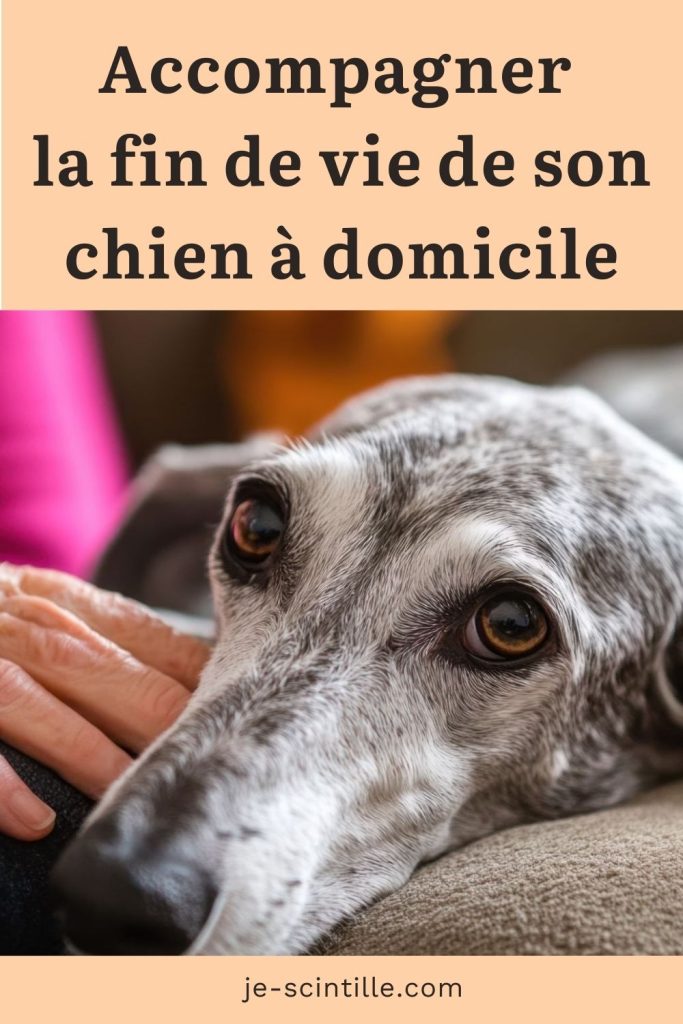 Accompagner la fin de vie de son chien à domicile