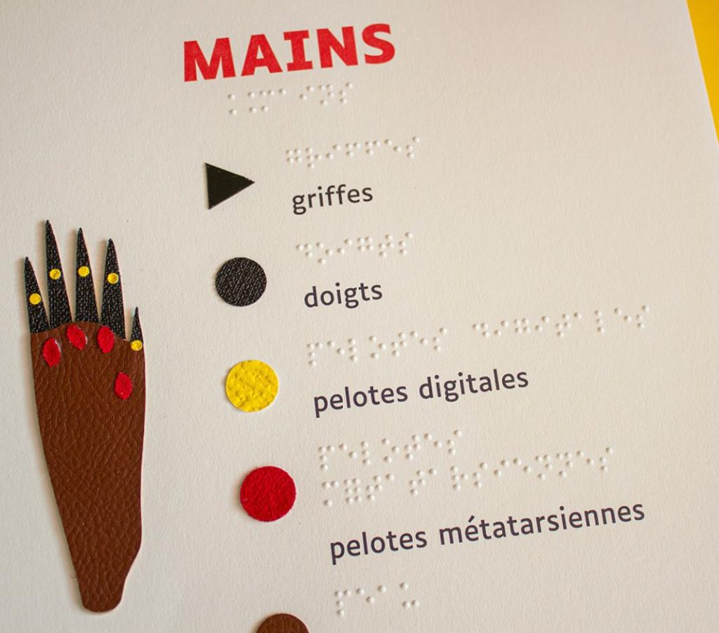 Livre tactile Pas à pas